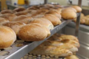 Gesubsidieerd trainingsaanbod van start